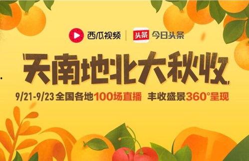 今日头条瓜,揭秘娱乐圈最新热点事件