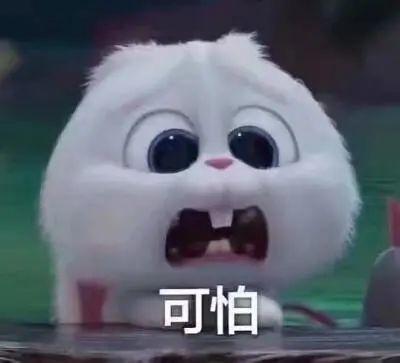 成都今日吃瓜事件真相,揭秘背后真相与争议