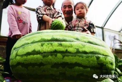 今日猜瓜,揭秘娱乐圈最新热点事件