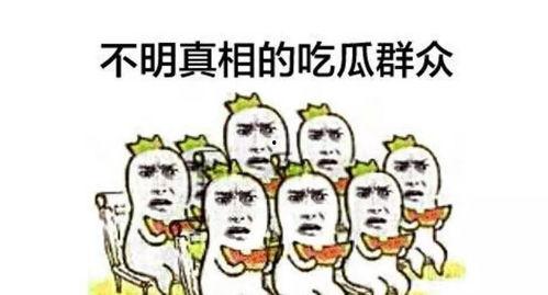 郑州今日吃瓜事件真相,揭秘背后真相与争议