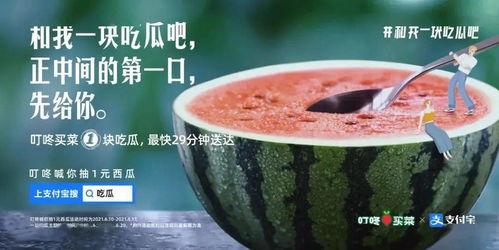丽水今日吃瓜新闻报道最新消息,揭秘今日热点事件幕后真相