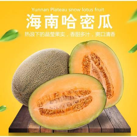 可可蜜网纹瓜今日价格,“今日可可蜜网纹瓜价格行情解析”