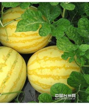 今日吃瓜网最新,揭秘娱乐圈最新热点事件，带你领略明星幕后故事