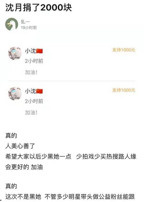 明星网红武汉捐款多少万