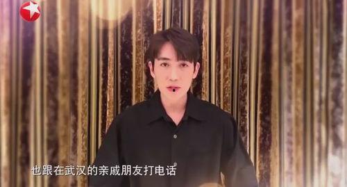 明星网红武汉捐款多少万