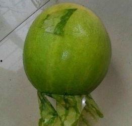 许昌今日吃瓜事件