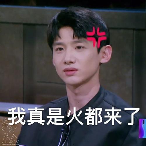 白姓明星网红是谁,揭秘娱乐圈新晋流量担当