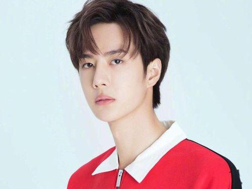 白姓明星网红是谁,揭秘娱乐圈新晋流量担当