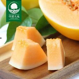 今日蜜瓜最近行情,今日价格走势解析