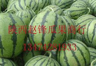 今日脆瓜批发价格查询,今日脆瓜批发价格行情分析