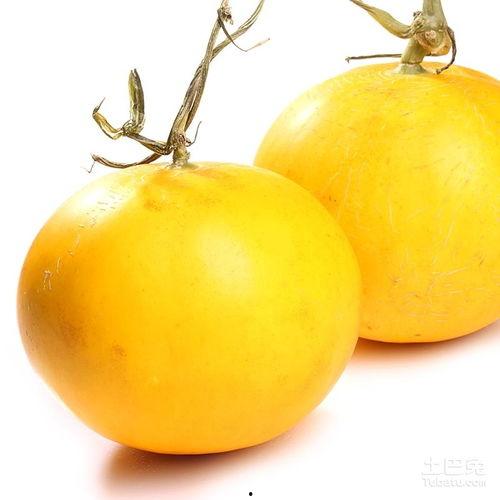伊丽莎白瓜今日价格走势,今日走势解析
