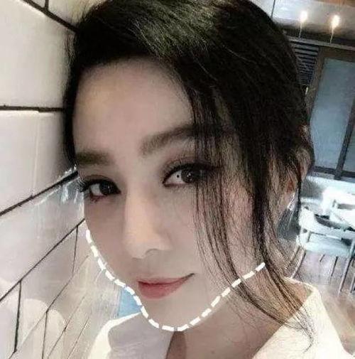 全部明星网红的人有哪些,揭秘全网热门明星网红大盘点