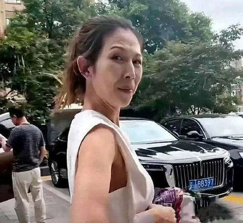 明星网红视频二区,明星风采尽展，精彩瞬间不容错过
