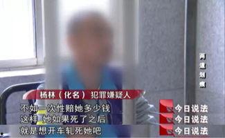 今日说法说淇县偷瓜,揭秘农村盗窃背后的社会现象
