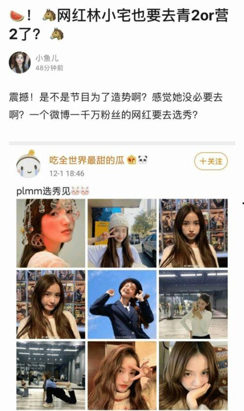 我要成为明星网红小说,我的明星网红之路