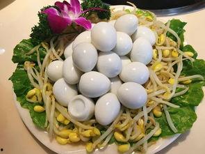 运城乳瓜今日价格,市场行情一览”