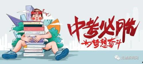 白瓜行情今日最新消息,今日最新动态解析