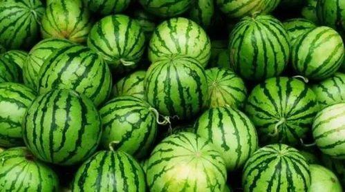 今日瓜已完,盘点娱乐圈最新热点事件