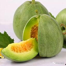 今日果瓜价格,丰硕上市，实惠来袭！