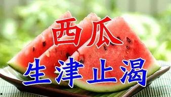 51今日吃瓜爆料上海二中,51今日吃瓜爆料，案情揭秘！