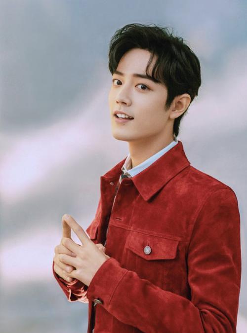 明星网红徐洋简介照片,网红明星的时尚风采与魅力瞬间