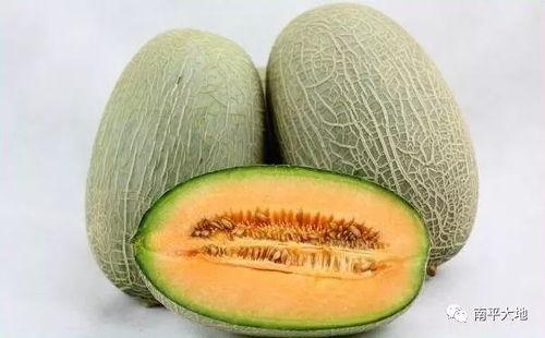 今日宿州哈密瓜价格,今日行情一览