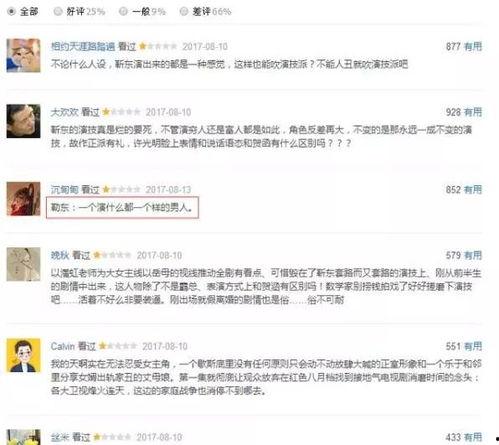 对明星网红评价怎么写,多维视角下的网络影响力解析