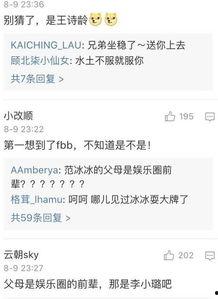 对明星网红评价怎么写,多维视角下的网络影响力解析