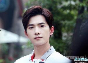 明星网红同款发型男,明星网红同款发型，引领男生发型新潮流