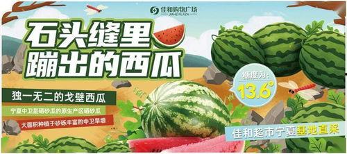 51热门大瓜今日大瓜最新最全,今日最新最全大瓜盘点，揭秘娱乐圈风云变幻