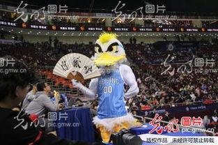 河南全明星网红是谁,谁是河南网红界的璀璨之星？