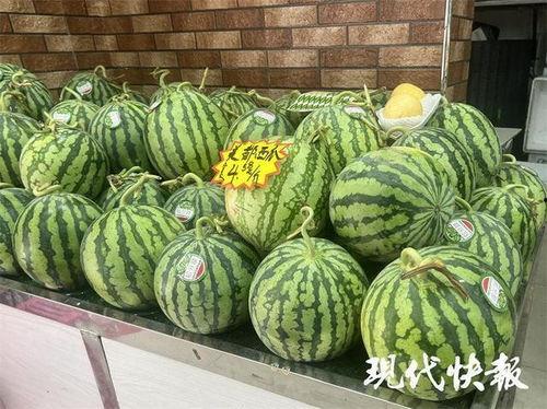 滨海美都无籽瓜今日价格,价格行情一览”