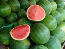 滨海美都无籽瓜今日价格,价格行情一览”