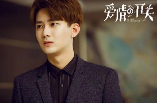 爱情的开关电视剧,解锁心锁，共赴浪漫之旅