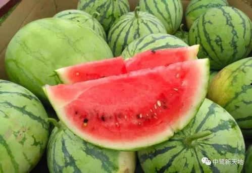 瓜嫂今日吃瓜图片,揭秘娱乐圈最新热点事件