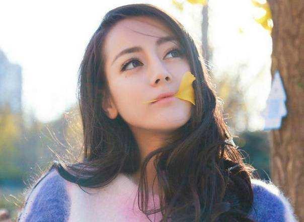 明星网红交税给谁交的,揭秘明星网红缴税之谜