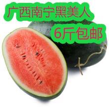 黑瓜今日价格最新行情,最新行情解析与市场趋势洞察”